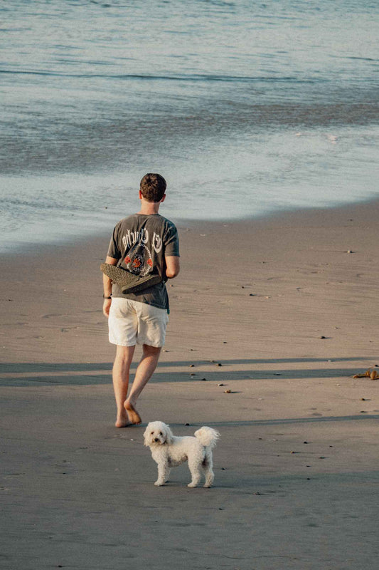 Happy Dog Lifestyle Image
