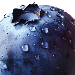 Blueberries