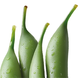 Green Beans