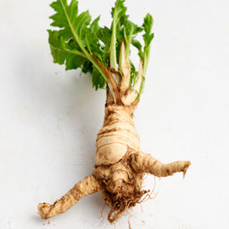 Inulin