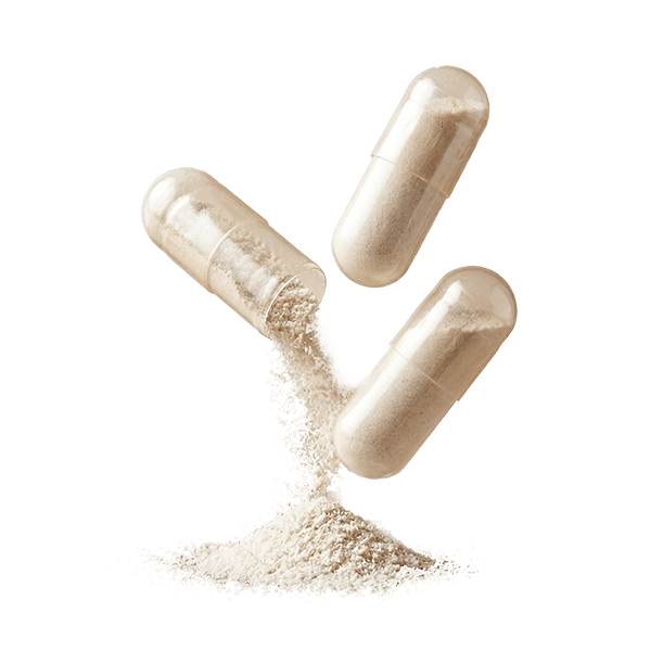 3 x probiotic cultures