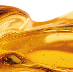 Salmon Oil