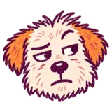 Skeptical dog
