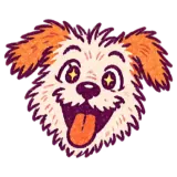 Excited dog