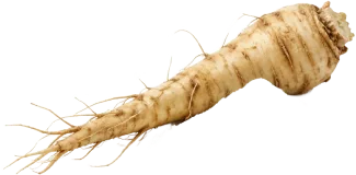 Inulin