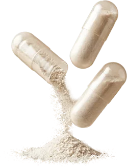 Probiotic blend