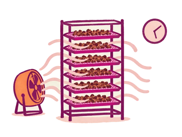 Trays on a rack with a fan blowing warm air