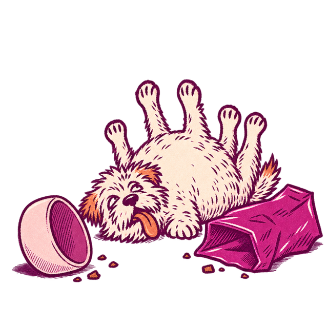 Dog rolling on its back next to a TinyWolf bag