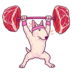 A bull terrier lifting a barbell with steaks as weights
