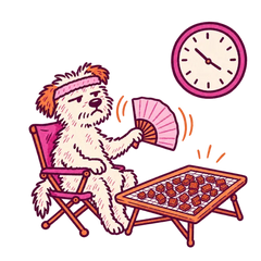 A terrier in a camp chair fanning a tray of food, a clock behind