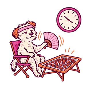 A terrier in a camp chair fanning a tray of drying food