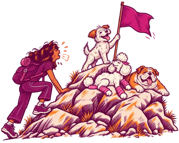 A hiker reaching a summit to find three dogs already there, one planting a flag