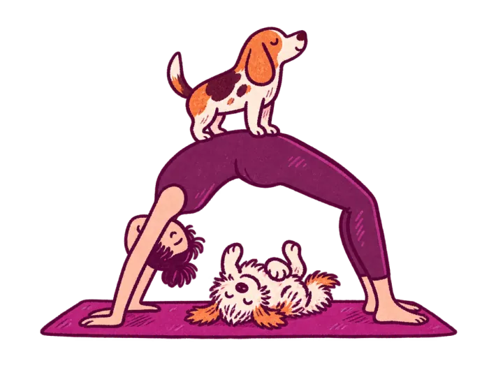 A woman in a yoga backbend with a beagle standing on her and a second dog lying upside down underneath